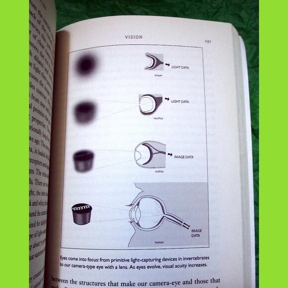 Book -  Your Inner Fish: A 3.5-Billion-Year History of the Human Body - Picture 10 of 14